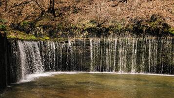 Ein Wasserfall stürzt in ein klares Becken, umgeben von bewaldetem Gelände.