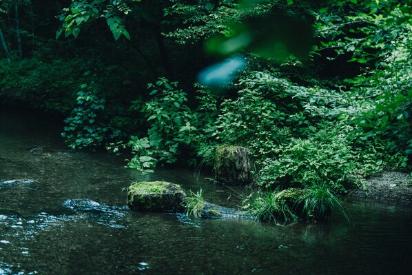 Fishing - SANU 2nd Home Karuizawa 1st (Karuizawa)
