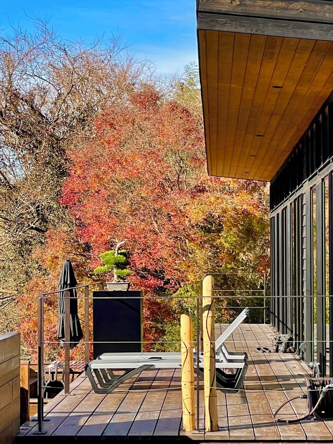 Um terraço com TV, cadeiras de descanso e um pequeno jardim com folhagem de outono.