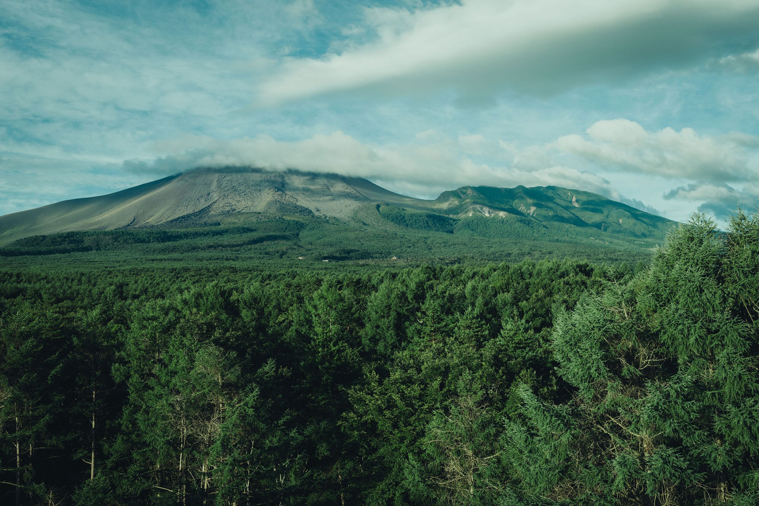 Pemandangan sekitar dari properti
