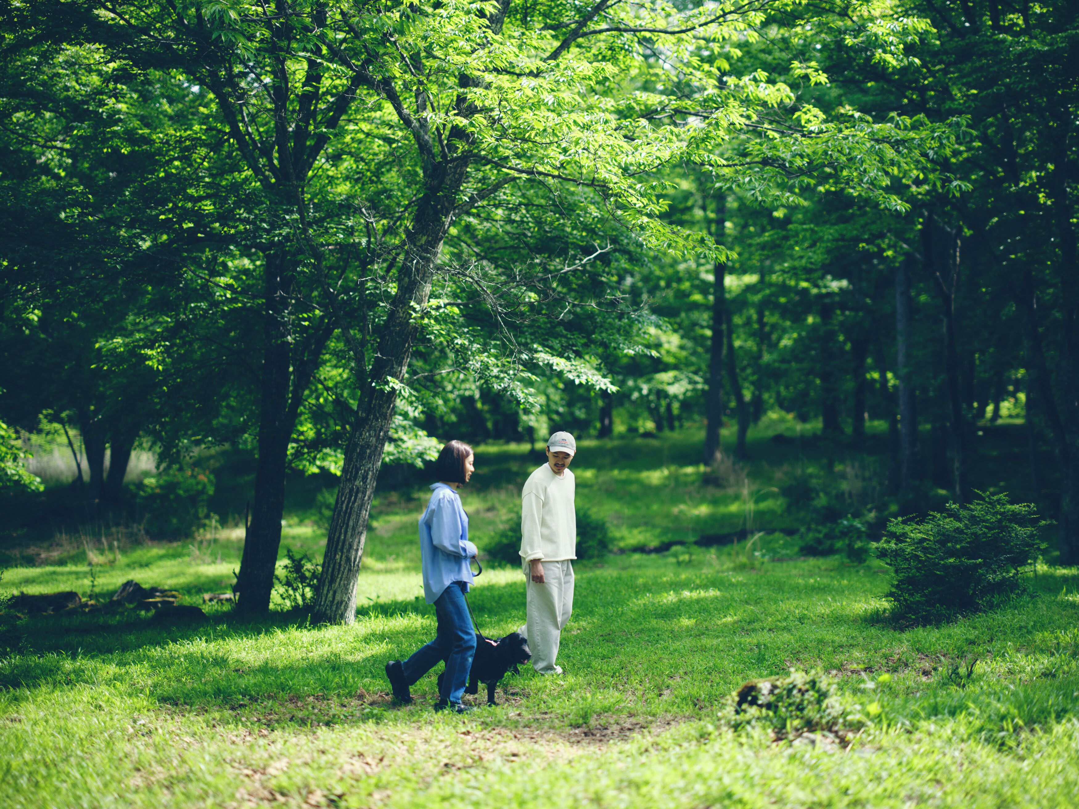 Un parc avec un sentier pédestre, des arbres et un chien.