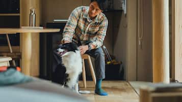 Escritorio, wifi gratis y ropa de cama