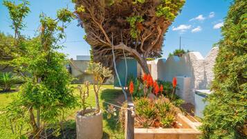 A garden with various plants, a large tree, and a concrete structure.