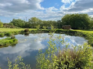 A tranquil pond surrounded by lush greenery and a clear sky.