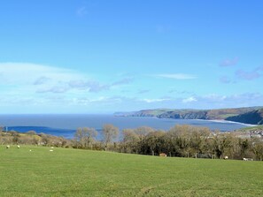 A coastal landscape with a grassy field, trees, and a view of the sea and cliffs.