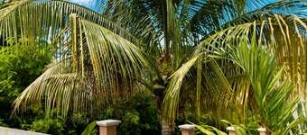 Seaview Penthouse Retreat 4 Beds 3 Baths Stay
