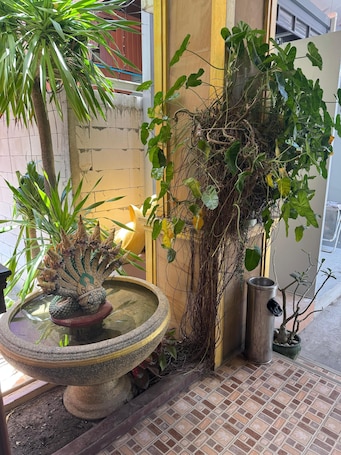 Vista desde la propiedad