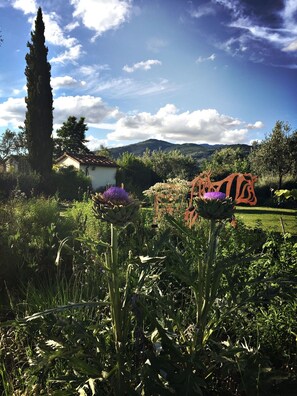 Property grounds - Canto alla Castellana (Penna)