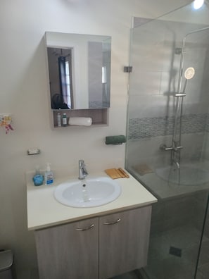 A bathroom with a white sink, a mirror, and a glass-enclosed shower.