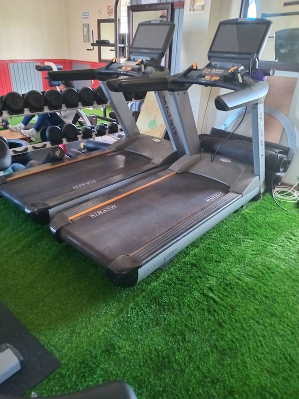 A gym with treadmills, dumbbells, and a green artificial turf floor.