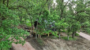 A rustic cabin surrounded by dense forest, with a dirt path leading to a wooden deck. - Glamping in Nature Near Mt. Rushmore (Hermosa)