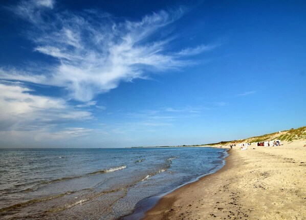 Ferienhaus | Blick von der Unterkunft
