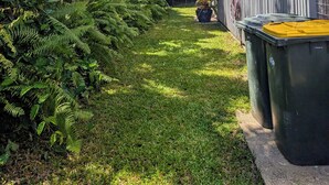 Un étroit sentier bordé d’une végétation dense et un bâtiment entouré d’une clôture en métal ondulé.