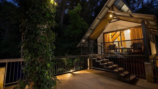 A wooden deck with a staircase leading to a glass-enclosed room with a view of the surrounding forest. - Bamboo Dale Resort (Udumbanchola)