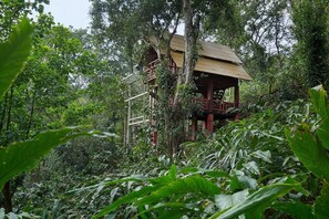 Standard Chalet, Balcony, Mountain View | Property grounds - Bamboo Dale Resort (Munnar)