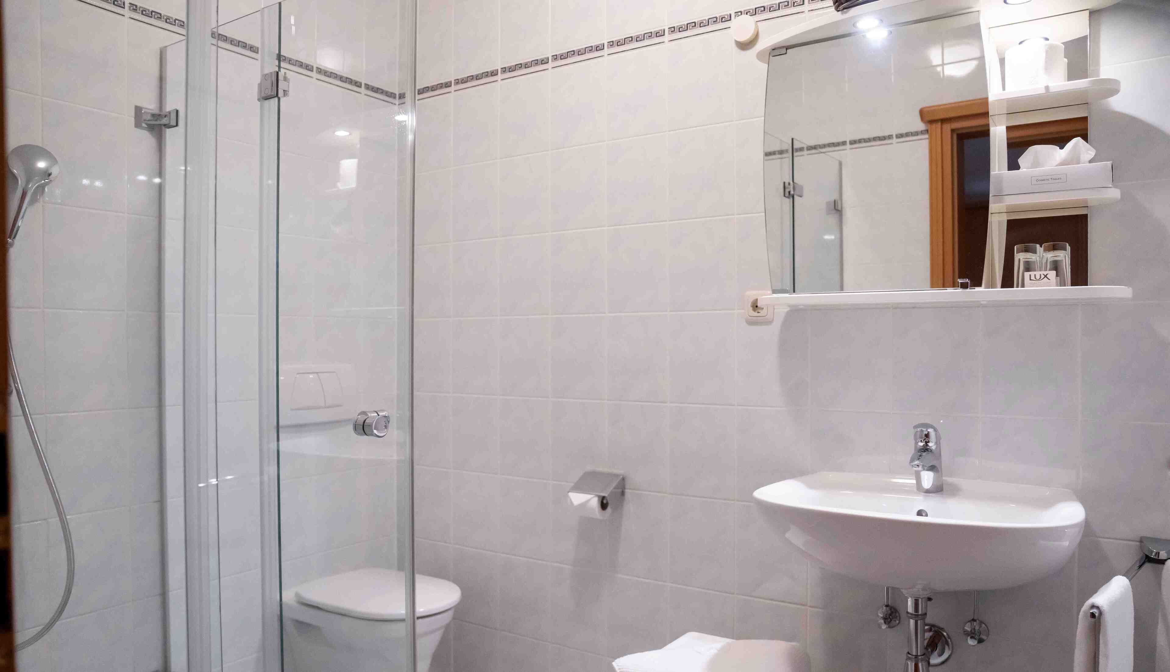 A modern bathroom with a glass shower enclosure, a white toilet, and a sink with a mirror above.