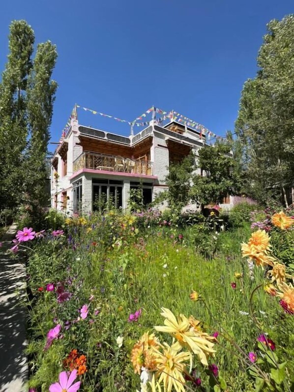 Front of property - Napishu guest house (Leh)