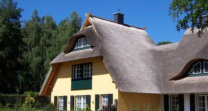 Kustenwaldvilla in Dierhagen