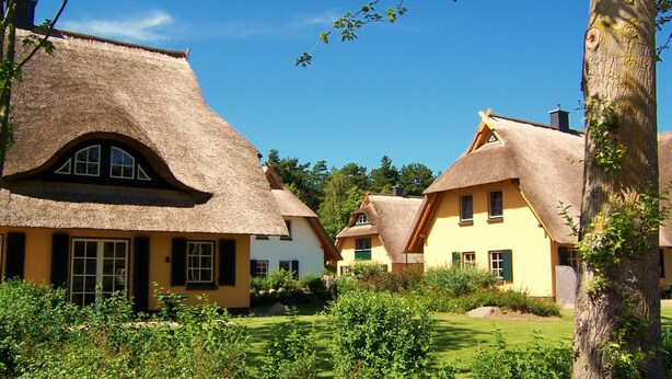 A row of traditional thatched-roof cottages with a well-maintained garden in front. - Kustenwaldvilla in Dierhagen (Ostseebad Dierhagen)
