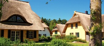 Kustenwaldvilla in Dierhagen