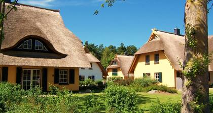 Kustenwaldvilla in Dierhagen