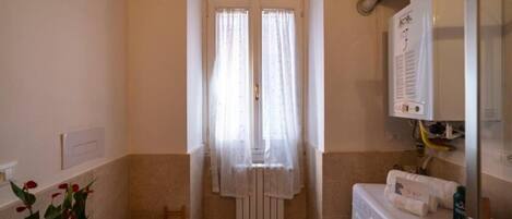 Shower, hair dryer, bidet, towels