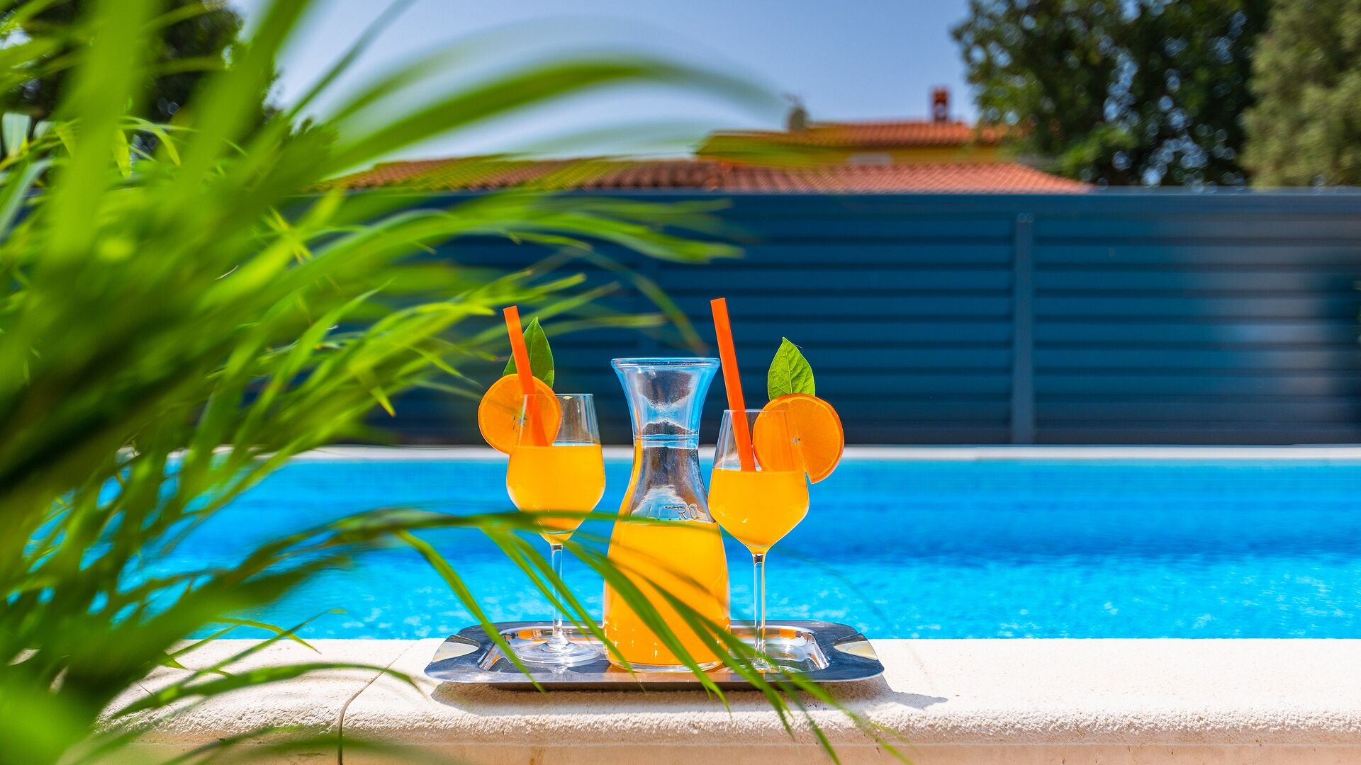 A poolside setting with a table holding three glasses of orange juice, each garnished with a slice of orange and a mint leaf.