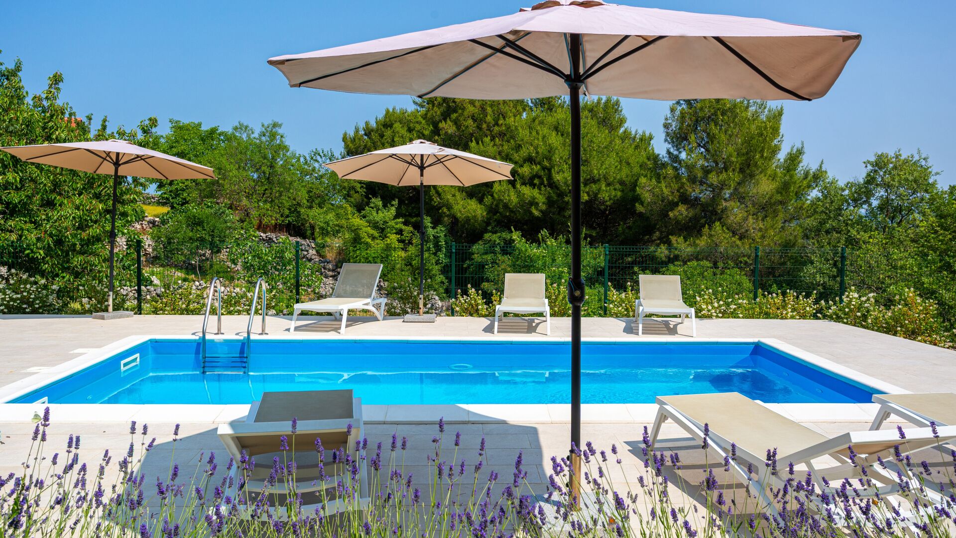Piscina con sillas de descanso y sombrillas, rodeada de follaje.