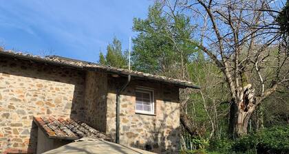 Detached house in the middle of the Tuscan chestnut forest