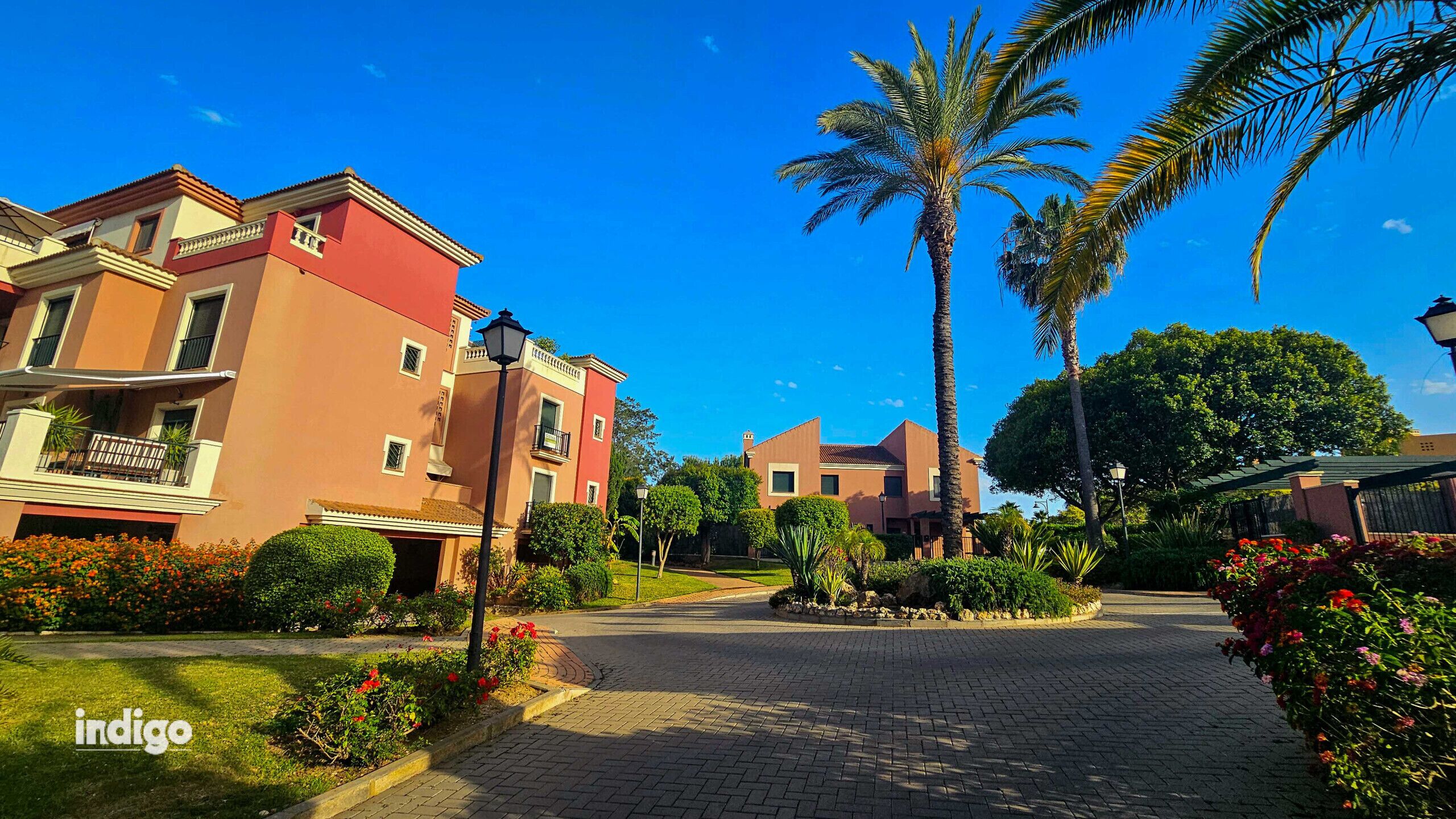 Una zona residencial con camino pavimentado, palmeras y un edificio con balcones.