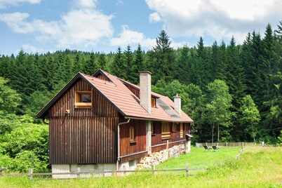 Family idyll – garden, fireplace, nature, skiing, hiking