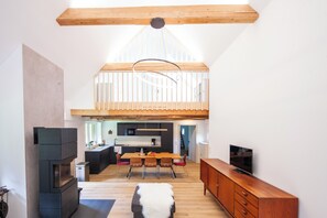 TV connectée, cheminée, jeux vidéo, lecteur de DVD