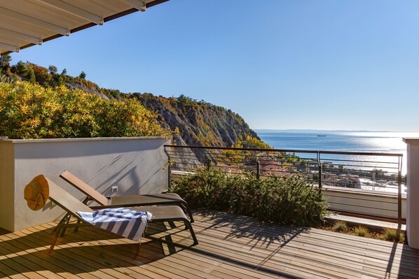 テラス / パティオ