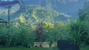 A lush garden with a variety of plants and a wooden fence. - 4 Suites-Ocean view-Private pool (San Buenas)