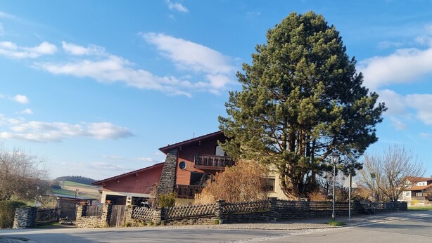 Una casa de dos pisos con fachada de piedra, un gran pino en primer plano y un cielo azul despejado.