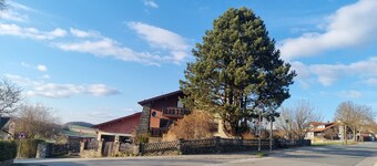 Vacation apartment Sonnenblume