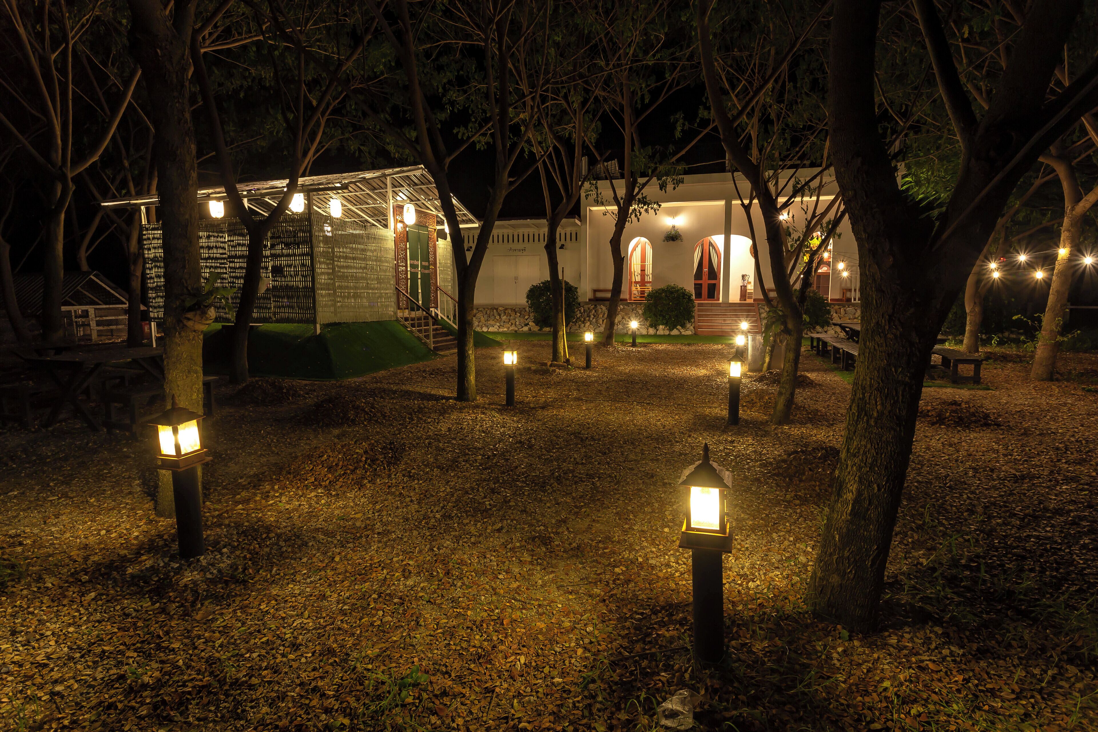 Un espacio al aire libre iluminado por la noche, con árboles, bancos y faroles.