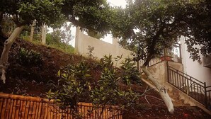 A landscaped garden with a bamboo fence, a stone wall, and a variety of flowering plants. - Holiday House Green Cape Batumi (Batumi)