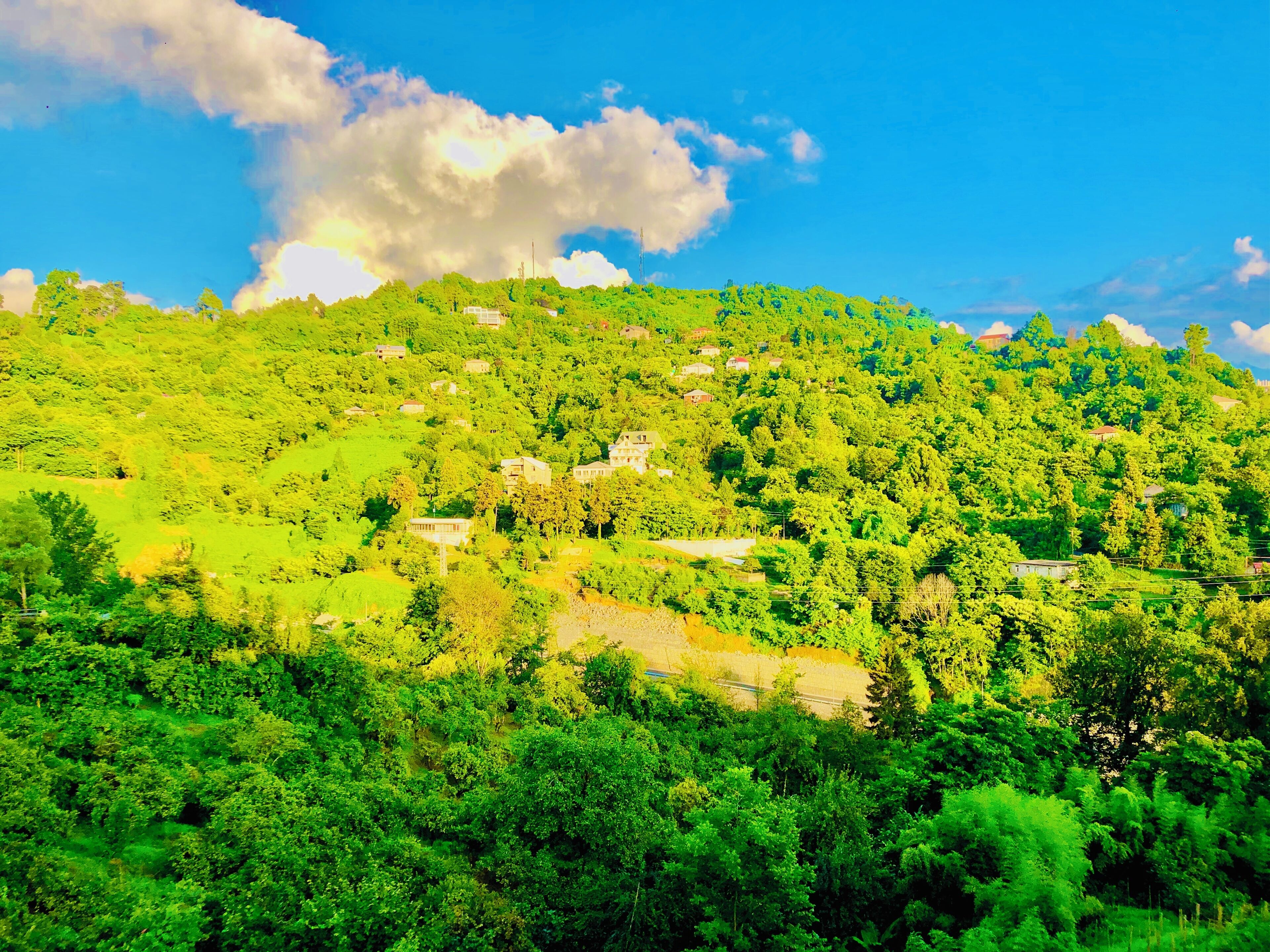 Photo - Holiday House Green Cape Batumi