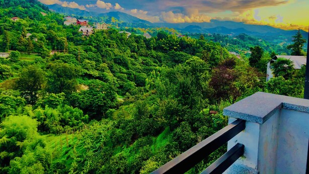 A lush green landscape with scattered buildings, likely a rural or semi-rural area. - Holiday House Green Cape Batumi (Batumi)