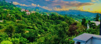 Holiday House Green Cape Batumi
