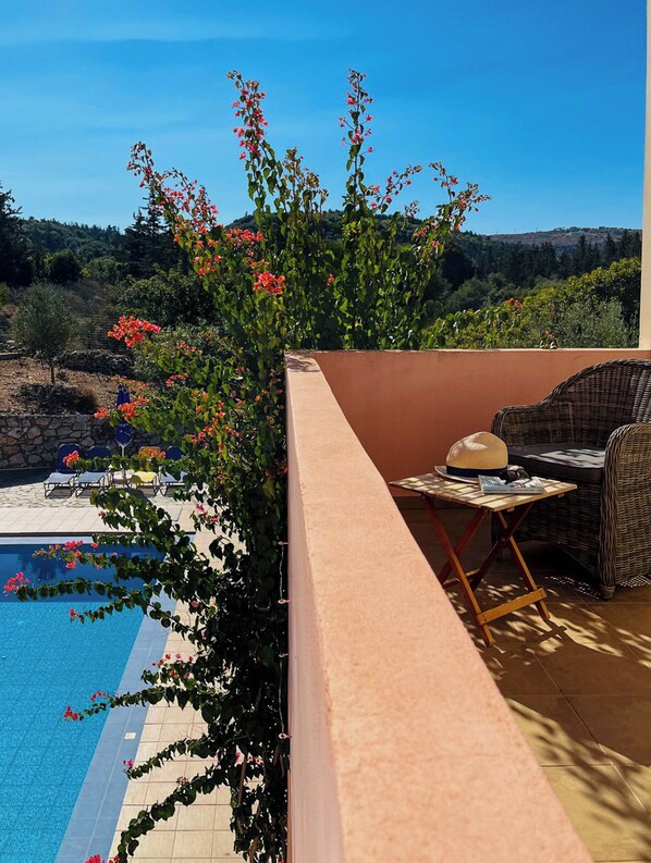 テラス / パティオ