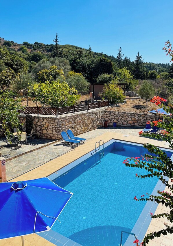 Ein rechteckiger Swimmingpool mit Steinmauer und Holzzaun, umgeben von Liegestühlen und Sonnenschirmen.