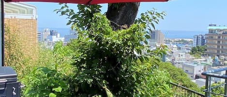 ラグジュアリー ヴィラ バルコニー シービュー | テラス / パティオ