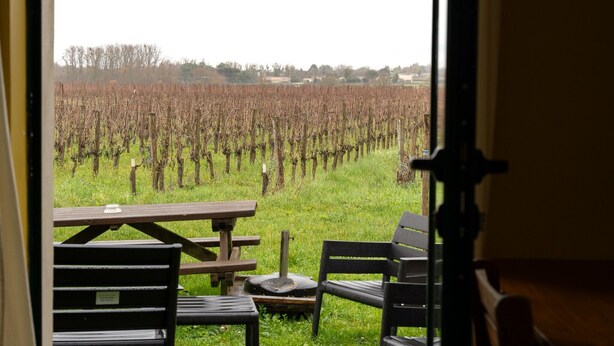 Une vue à travers une fenêtre sur un vignoble, avec des rangées de vignes, une table de pique-nique et des chaises.