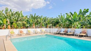 A swimming pool with lounge chairs and banana trees in the background.