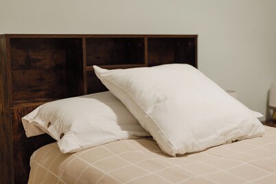 AMERICA HOME. CENTER PLENARY