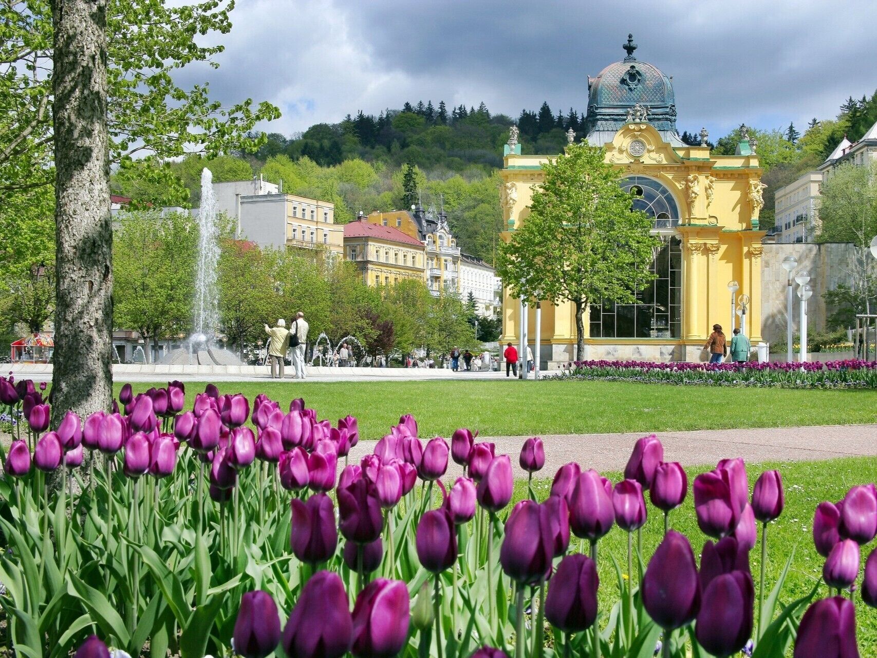 A park with purple tulips, a fountain, and a yellow building with a dome.