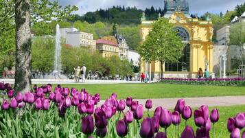 A park with purple tulips, a fountain, and a yellow building with a dome.
