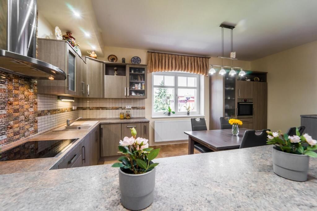 Căn hộ Deluxe, ban công, quang cảnh công viên | Bếp riêng